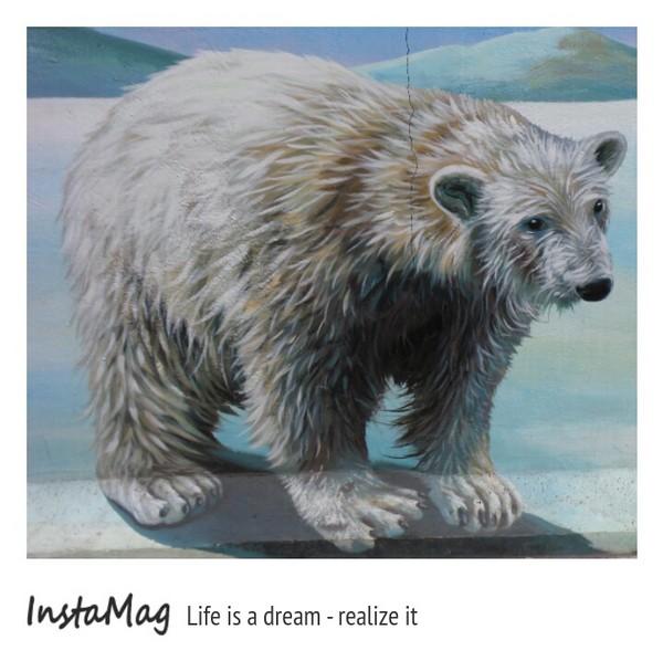 仁武後安動物彩繪村：【高雄景點】後安動物園~栩栩如生的彩繪巷