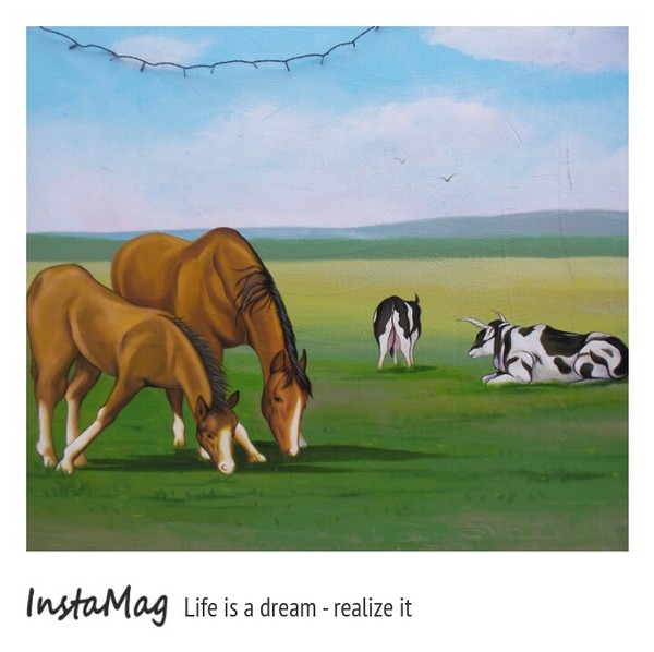 仁武後安動物彩繪村：【高雄景點】後安動物園~栩栩如生的彩繪巷