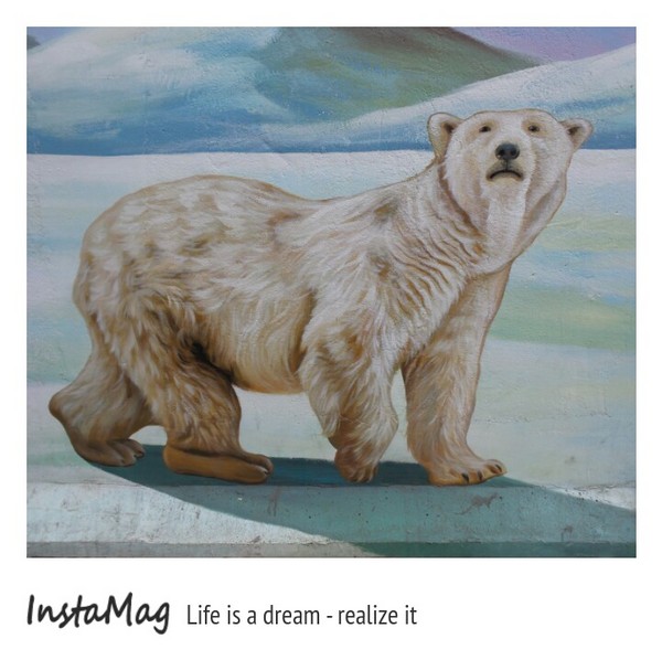 仁武後安動物彩繪村：【高雄景點】後安動物園~栩栩如生的彩繪巷