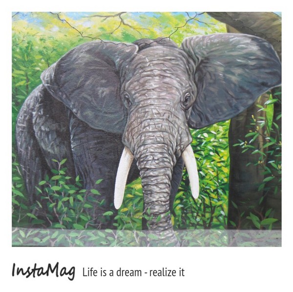 仁武後安動物彩繪村：【高雄景點】後安動物園~栩栩如生的彩繪巷