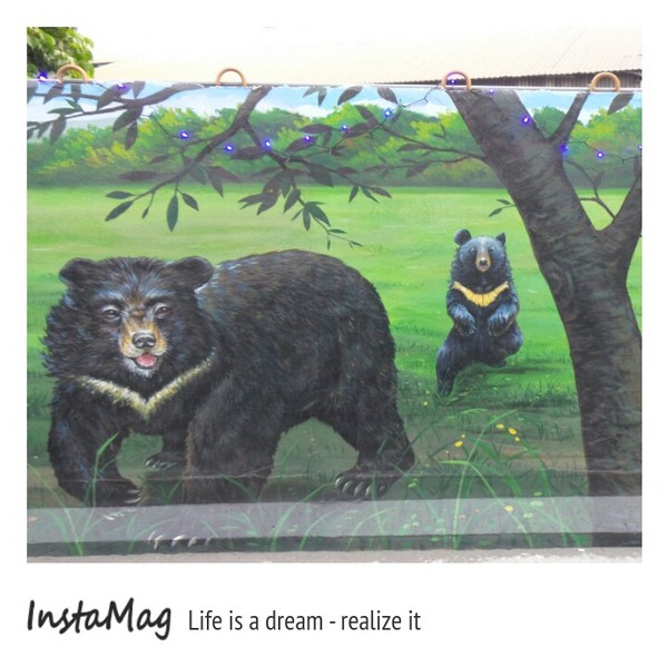 仁武後安動物彩繪村：【高雄景點】後安動物園~栩栩如生的彩繪巷