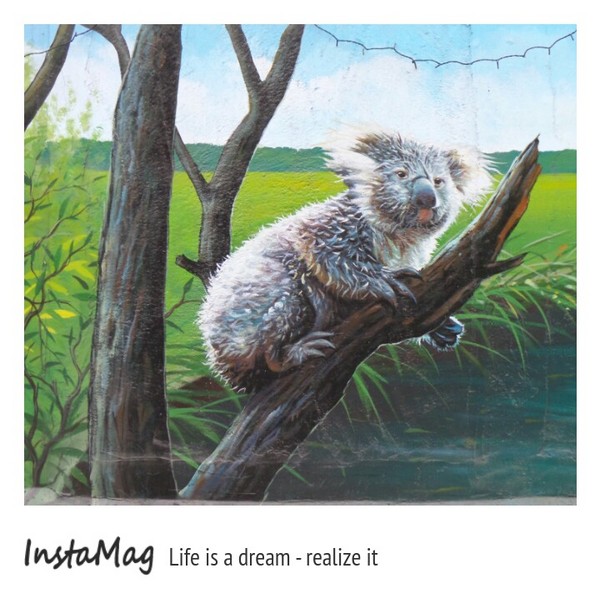 仁武後安動物彩繪村：【高雄景點】後安動物園~栩栩如生的彩繪巷