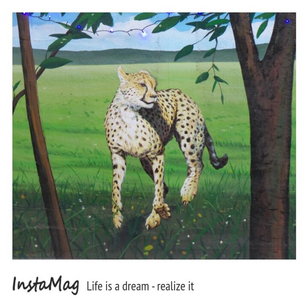 仁武後安動物彩繪村：【高雄景點】後安動物園~栩栩如生的彩繪巷