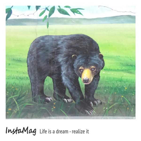 仁武後安動物彩繪村：【高雄景點】後安動物園~栩栩如生的彩繪巷