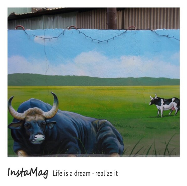 仁武後安動物彩繪村：【高雄景點】後安動物園~栩栩如生的彩繪巷