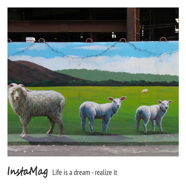 仁武後安動物彩繪村：【高雄景點】後安動物園~栩栩如生的彩繪巷