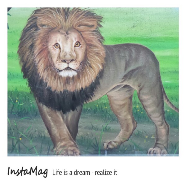 仁武後安動物彩繪村：【高雄景點】後安動物園~栩栩如生的彩繪巷