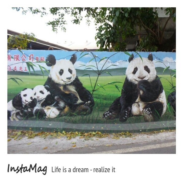 仁武後安動物彩繪村：【高雄景點】後安動物園~栩栩如生的彩繪巷