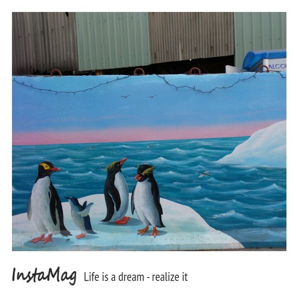 仁武後安動物彩繪村：【高雄景點】後安動物園~栩栩如生的彩繪巷