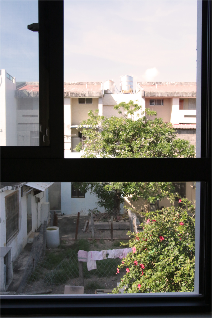 民宿窗外.jpg