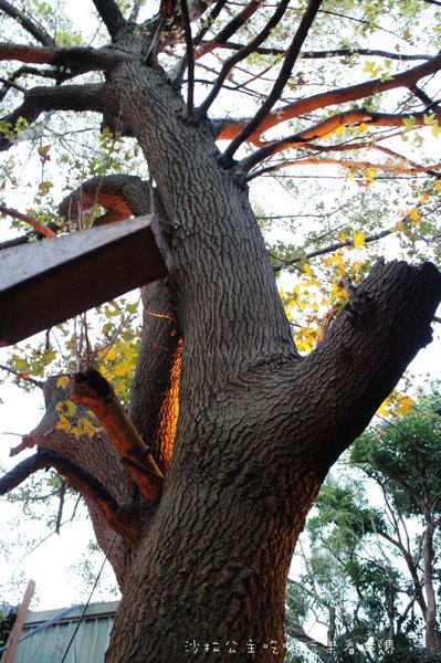 Flower桂香私宅法式料理：台北約會.求婚餐廳『桂香 - 私宅 』堅持預約制/歐式風情/法式餐點