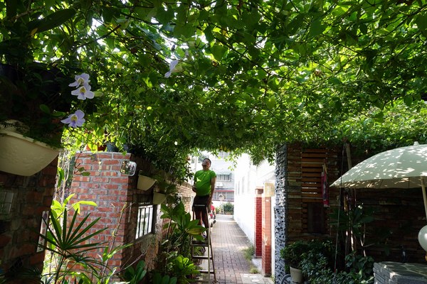 是吉咖啡:(胖樺食記)隱身老宅特色咖啡廳「是吉咖啡Cafe ichi」/台南北區公園路/鄰近321巷藝術聚落/不收一成服務費