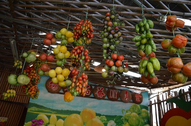 金勇番茄農場45