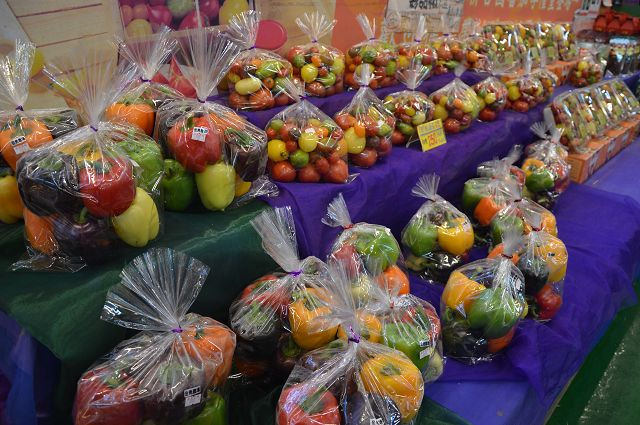 金勇番茄農場35