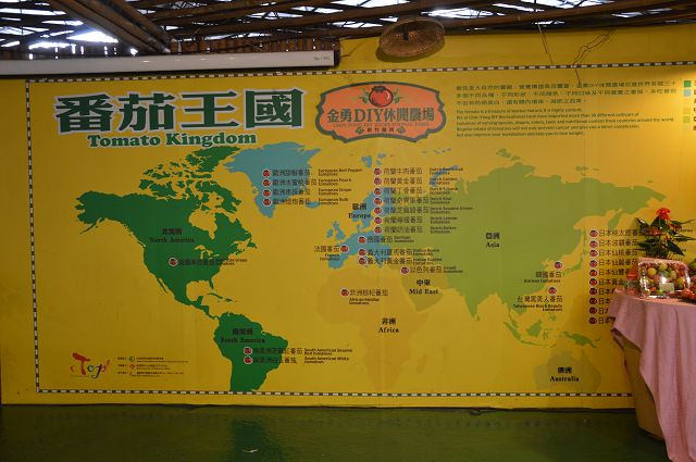金勇番茄農場40