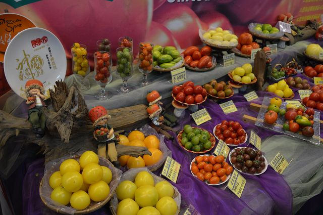 金勇番茄農場32