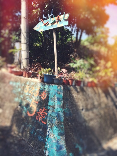 Luau ・ Pizza 柴寮披薩：新竹香山「Luau・Pizza」 柴寮披薩＠學區山林中邊吃邊渡假