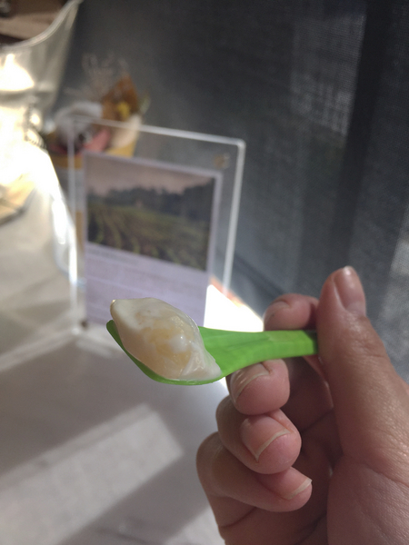 波波廚房：美食三合一讓你一次滿足-[墾丁/恆春]迷路餐桌計畫波波廚房+沃土義式冰淇淋+JR自然麵包舖