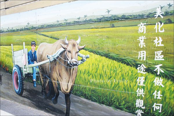 仁武後安村彩繪：╠高雄。遊記╣超夯卡通電影版彩繪吸睛度破表~☆【仁武後安彩繪 村】冰雪奇緣、變形金剛、逗逗蟲、小公主蘇菲亞、姆姆抱抱、馴龍高手、、等,走入卡頻道中,小朋友快樂遊!