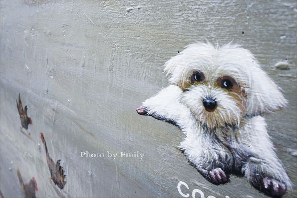 仁武後安村彩繪：╠高雄。遊記╣超夯卡通電影版彩繪吸睛度破表~☆【仁武後安彩繪 村】冰雪奇緣、變形金剛、逗逗蟲、小公主蘇菲亞、姆姆抱抱、馴龍高手、、等,走入卡頻道中,小朋友快樂遊!