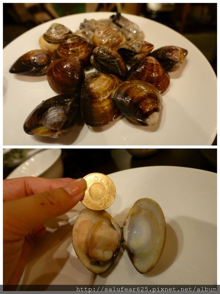 蛤蜊.jpg