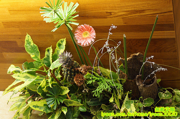 老夫子牛肉麵(旗艦總店)：【台南-北區】裝潢氣派x平價享受...大推手作酸梅汁.滿漢牛肉麵.半筋半肉麵.皮蛋豆腐.泡菜.花生.蔥爆牛肉..《老夫子牛肉麵(旗艦總店)》