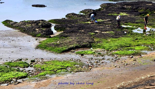 麟山鼻(野合百)-3.JPG - 2016夏之豔陽