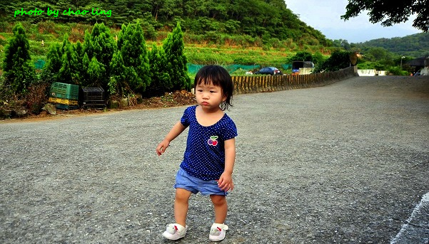 番婆林-1.JPG - 2016夏之豔陽