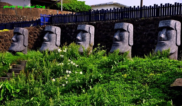 麟山鼻(野合百)-6.JPG - 2016夏之豔陽