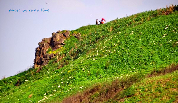 麟山鼻(野合百)-34.JPG - 2016夏之豔陽