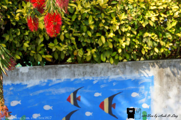 麗水漁港：【台中。龍井】麗水漁港。龍港國小。烏溪龍舟堤防自行車道。悠閒午後半日遊