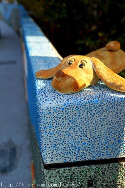 麗水漁港：【台中。龍井】麗水漁港。龍港國小。烏溪龍舟堤防自行車道。悠閒午後半日遊