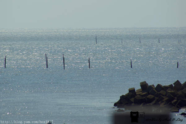 麗水漁港：【台中。龍井】麗水漁港。龍港國小。烏溪龍舟堤防自行車道。悠閒午後半日遊