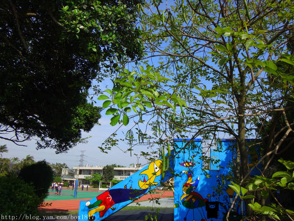 麗水漁港：【台中。龍井】麗水漁港。龍港國小。烏溪龍舟堤防自行車道。悠閒午後半日遊