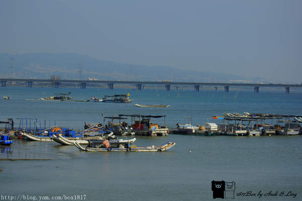 麗水漁港：【台中。龍井】麗水漁港。龍港國小。烏溪龍舟堤防自行車道。悠閒午後半日遊