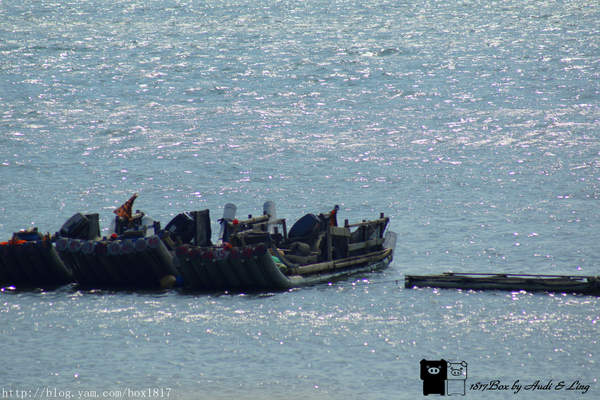 麗水漁港：【台中。龍井】麗水漁港。龍港國小。烏溪龍舟堤防自行車道。悠閒午後半日遊