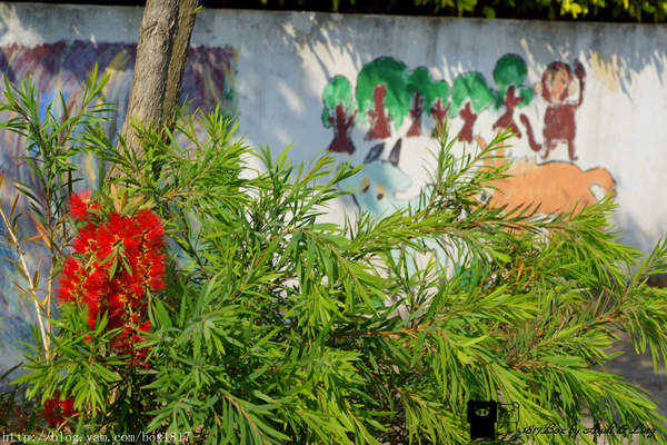 麗水漁港：【台中。龍井】麗水漁港。龍港國小。烏溪龍舟堤防自行車道。悠閒午後半日遊