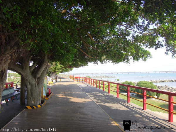 麗水漁港：【台中。龍井】麗水漁港。龍港國小。烏溪龍舟堤防自行車道。悠閒午後半日遊