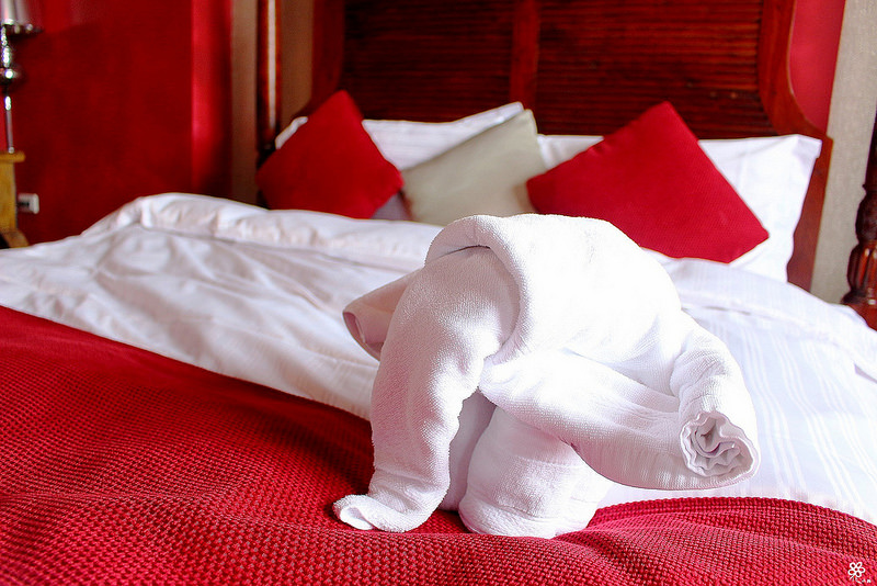 宜蘭礁溪民宿推薦捷克魔豆夜宿魔鏡 (20)