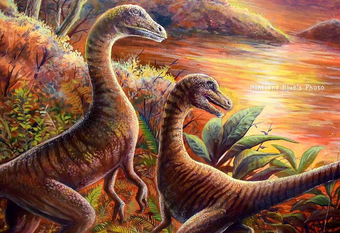 恐龍豆花桃園老街樂豆屋14