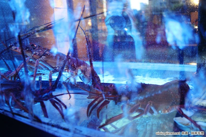 150620 竹北 川筵活蟹006.JPG
