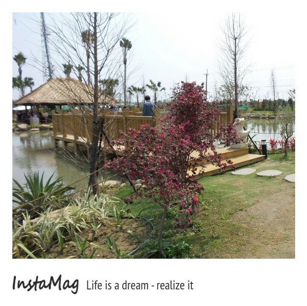 諾得健康世界休閒生態園區： 【嘉義景點】諾得健康休閒生態園區