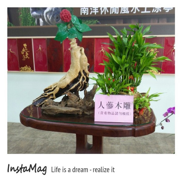 諾得健康世界休閒生態園區： 【嘉義景點】諾得健康休閒生態園區