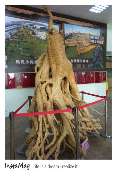 諾得健康世界休閒生態園區： 【嘉義景點】諾得健康休閒生態園區