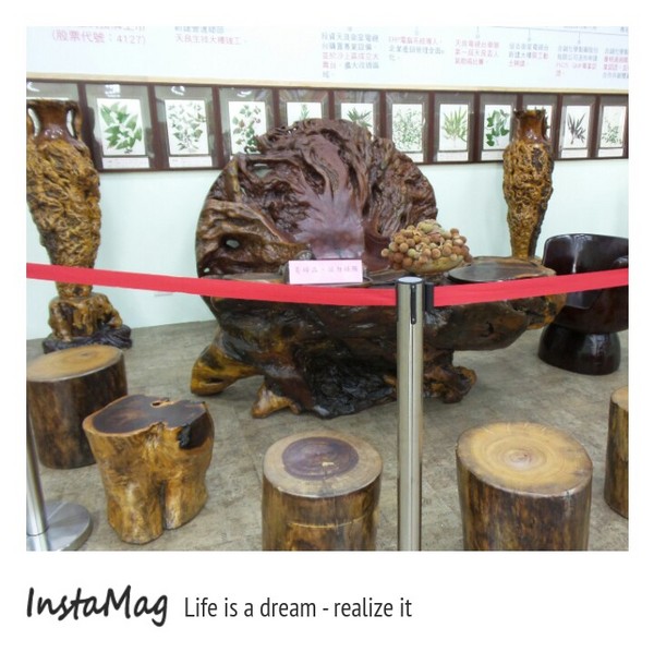 諾得健康世界休閒生態園區： 【嘉義景點】諾得健康休閒生態園區