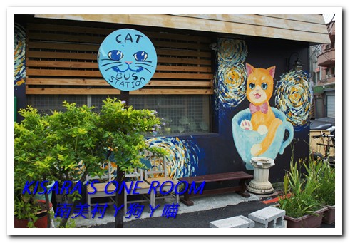 南美村ㄚ狗ㄚ喵：小動物陪同用餐的可愛中途餐廳──南美村ㄚ狗ㄚ喵《午餐篇》