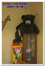 南美村ㄚ狗ㄚ喵:小動物陪同用餐的可愛中途餐廳──南美村ㄚ狗ㄚ喵《午茶篇》