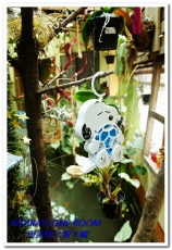 南美村ㄚ狗ㄚ喵：小動物陪同用餐的可愛中途餐廳──南美村ㄚ狗ㄚ喵《午餐篇》