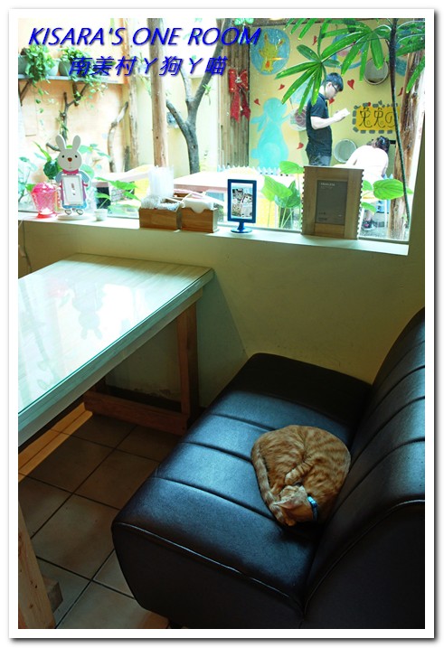 南美村ㄚ狗ㄚ喵:小動物陪同用餐的可愛中途餐廳──南美村ㄚ狗ㄚ喵《午茶篇》