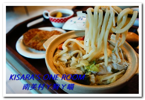 南美村ㄚ狗ㄚ喵：小動物陪同用餐的可愛中途餐廳──南美村ㄚ狗ㄚ喵《午餐篇》